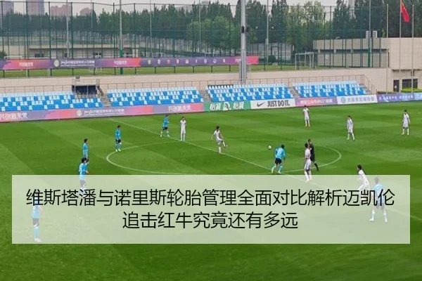 维斯塔潘与诺里斯轮胎管理全面对比解析迈凯伦追击红牛究竟还有多远